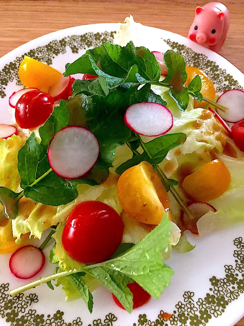 今収穫したラディッシュのサラダ🥗|ひめカフェさん