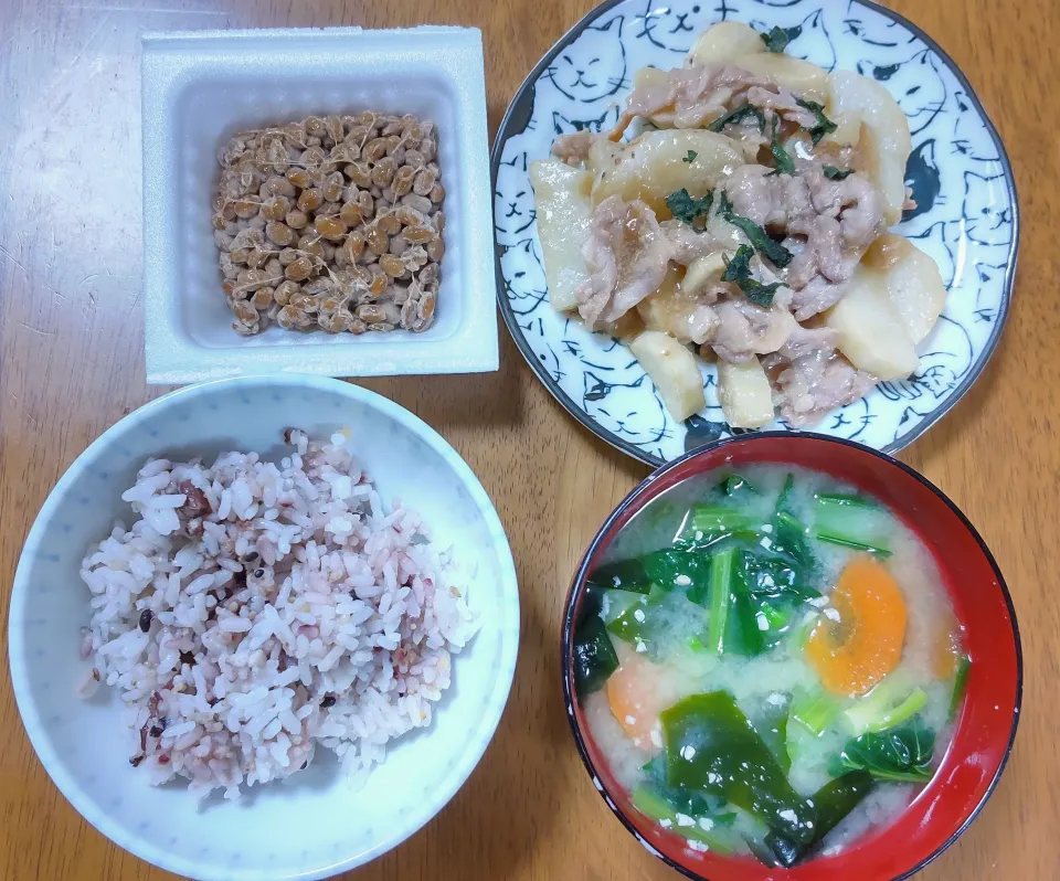 ３月２４日　豚こまと長芋のレンジ蒸し　納豆　ほうれん草とにんじんのお味噌汁|いもこ。さん