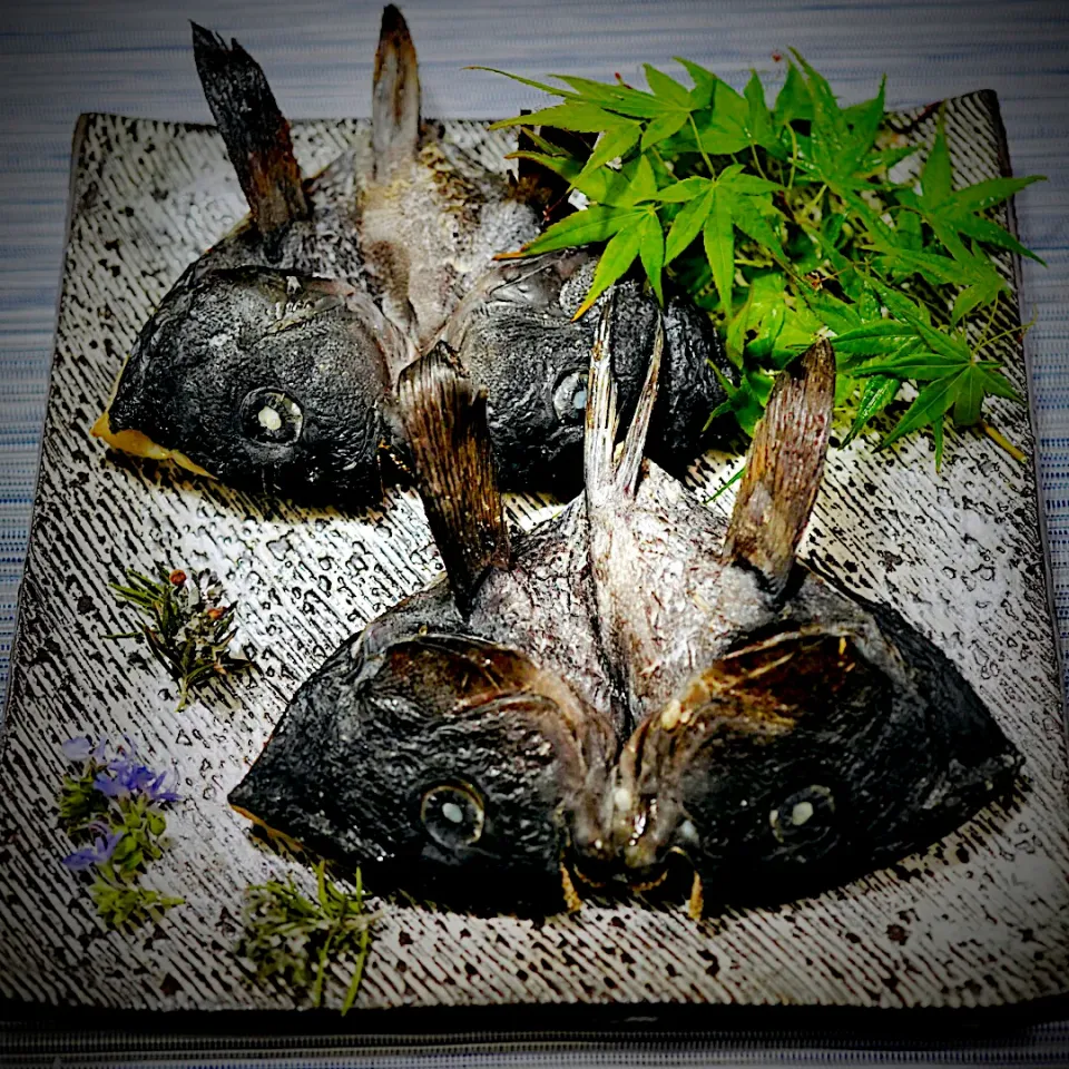 黒の兜（メジナの兜焼き）✨✨✨兜に見えるかな？😉|イチロッタさん