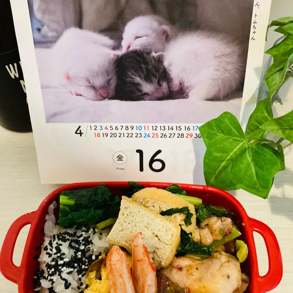 Snapdishの料理写真:20210416🍱今日の自分弁当🍱|akiyo22さん