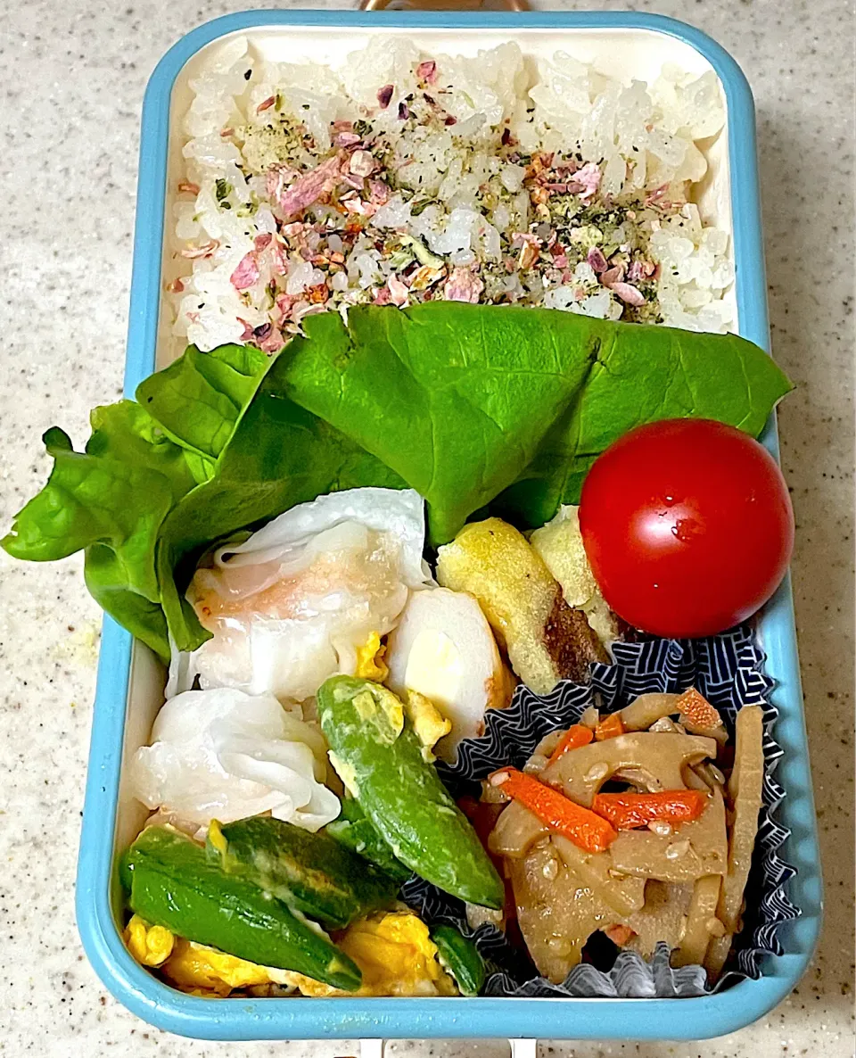 Snapdishの料理写真:焼売弁当|besさん