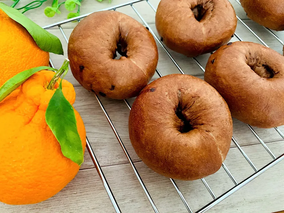 デコポンピールとチョコチップのベーグル🥯焼き上がり〜チョコレート生地🍫チョコレートとオレンジは美味しい組み合わせ💕|いちごさん