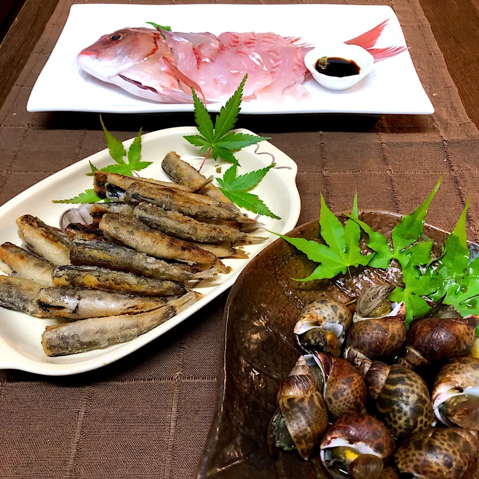 Snapdishの料理写真:三河湾鮮魚＊桜鯛＊メヒカリ＊バイ貝🐚|henryさん