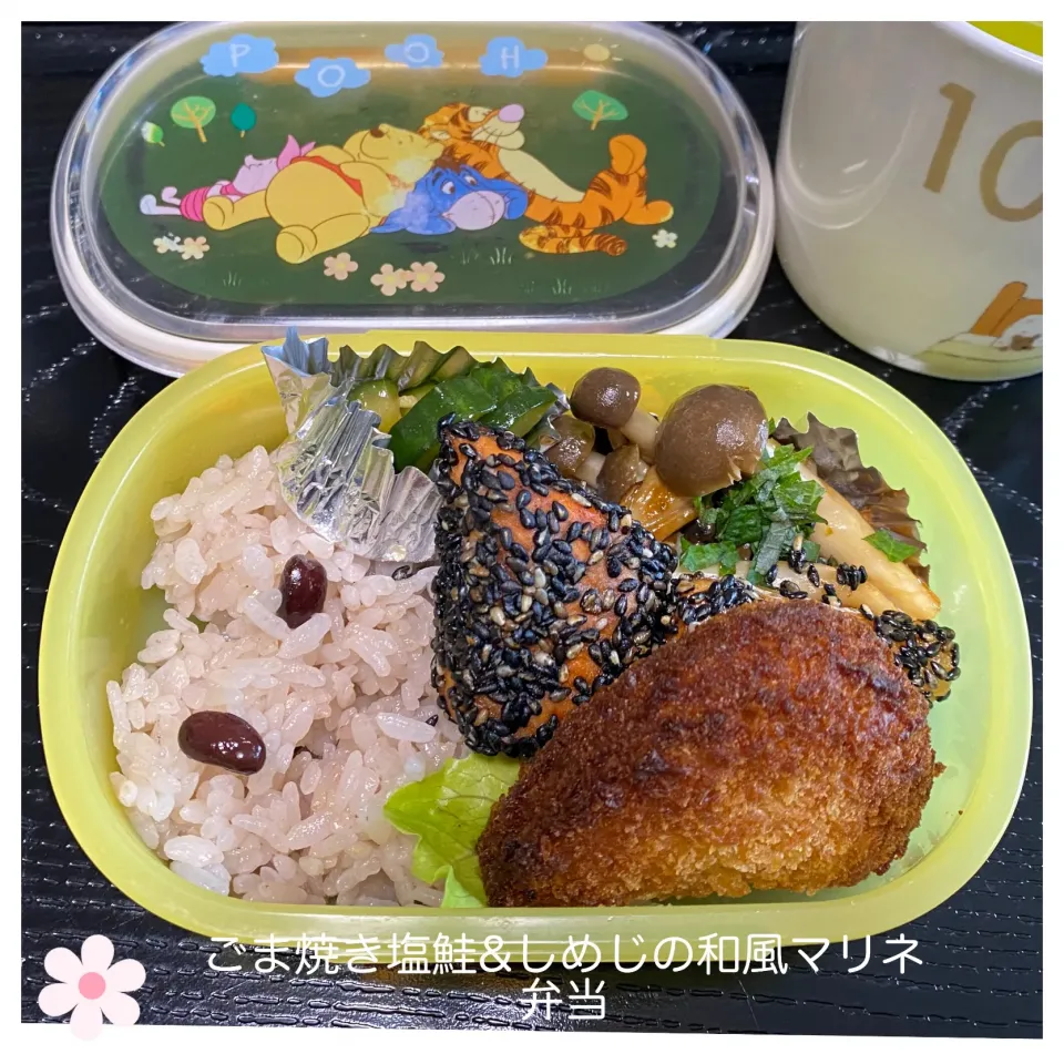 いのっちさんの料理 胡麻焼き鮭弁当|いのっちさん