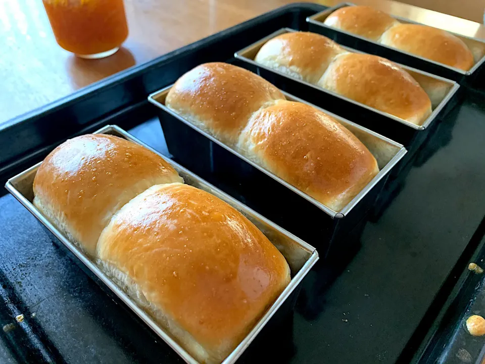 ミニミニ食パン焼き上がり🍞|いちごさん