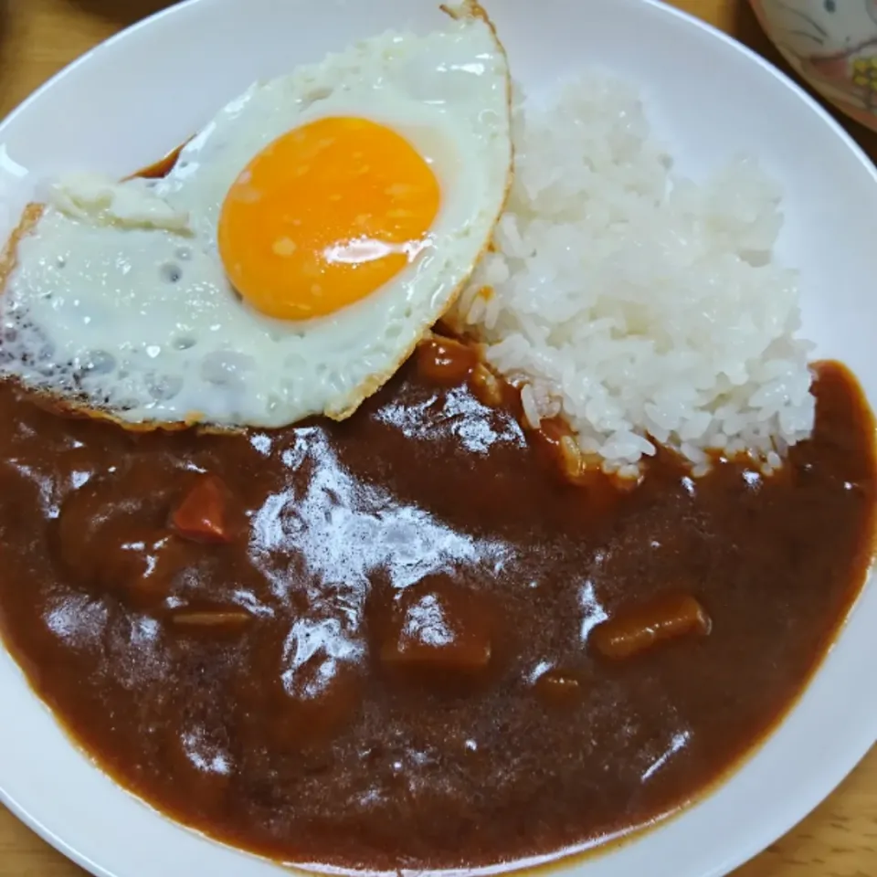 レトルトカレーでお昼はカレーライス🍳|しまだ ちえこさん