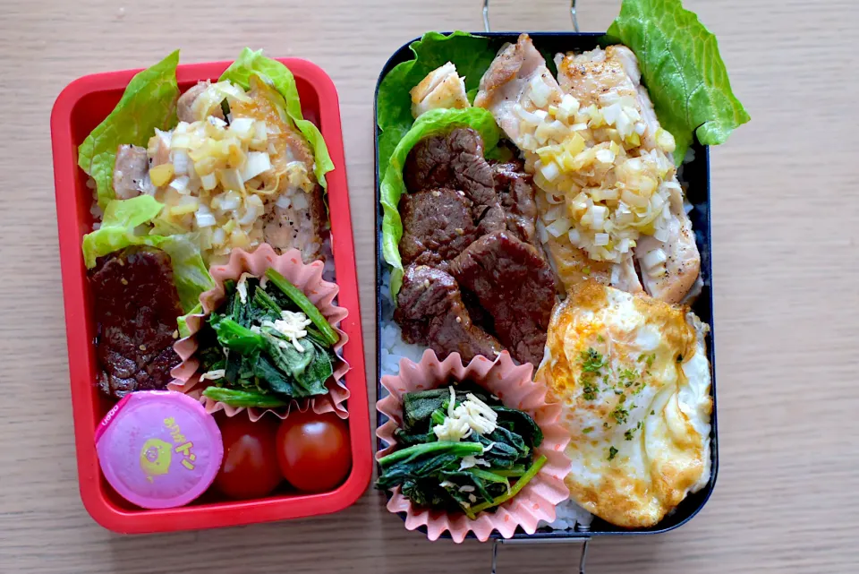 #お弁当 #息子弁当 #高校生男子弁当 #男子弁当 #高校球児弁当 #作り置き弁当 #作り置き #常備菜 #豊かな食卓 #のっけ弁 #タッパー弁当 #自分弁当 #焼き肉弁当|dra-kichiさん