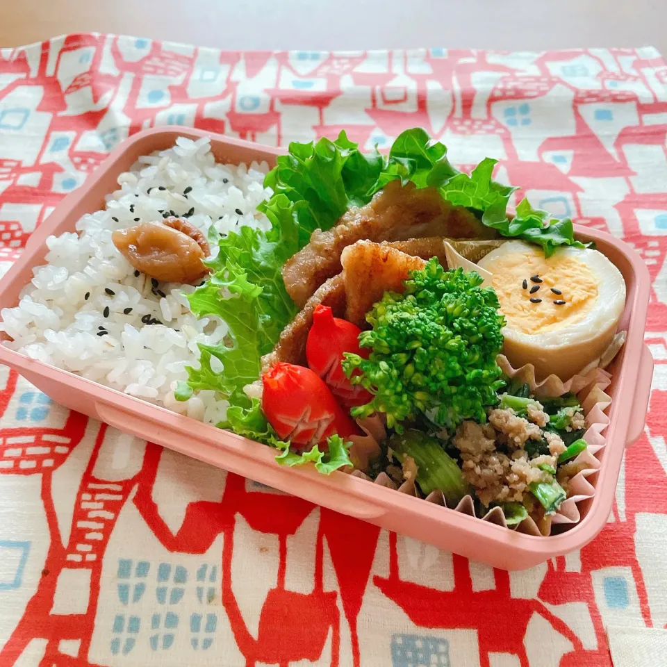 2021/4/19 今日のお弁当|kimiさん