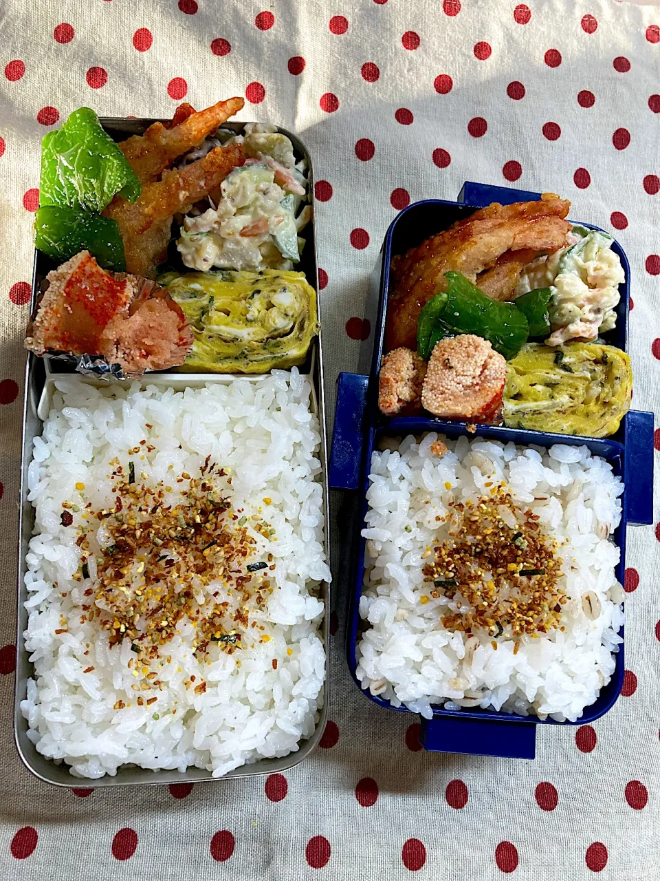 Snapdishの料理写真:4月19日　週の始まり弁当🍱|sakuramochiさん