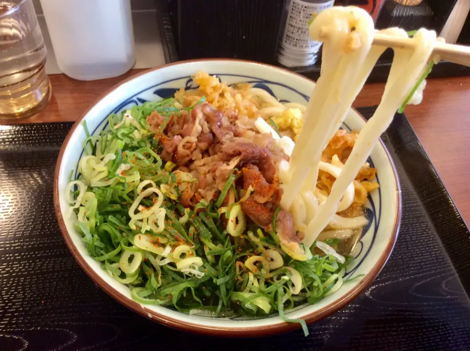 丸亀製麺 肉うどん|Takeshi  Nagakiさん