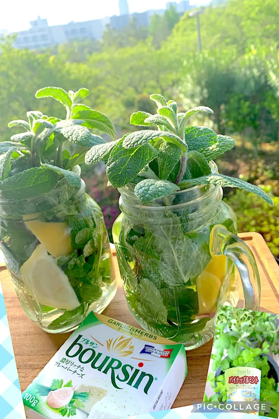 ミントとレモンのフレーバーウォーター🍋🌿|シュトママさん