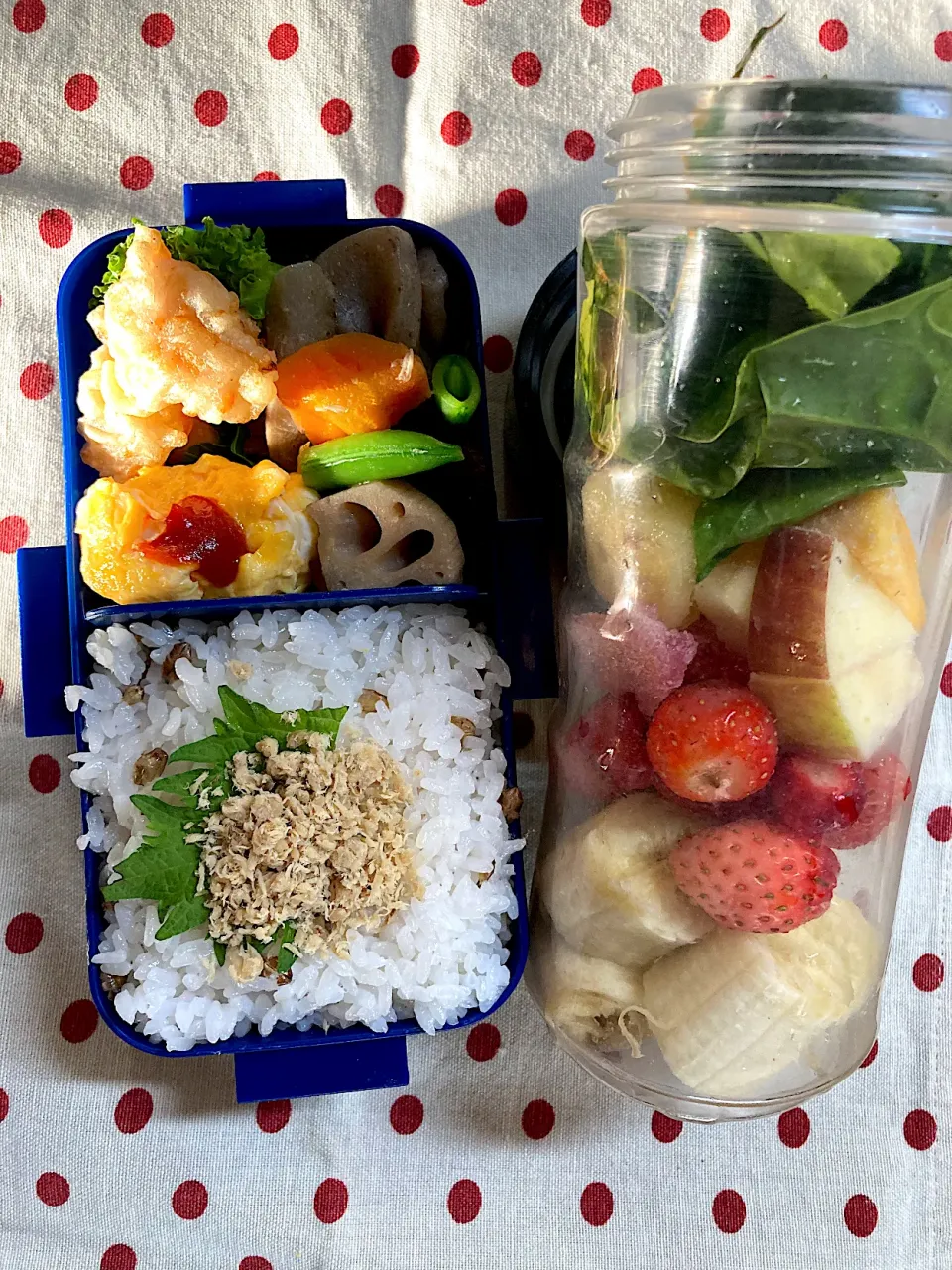 4月20日　今日も晴天弁当🍱|sakuramochiさん