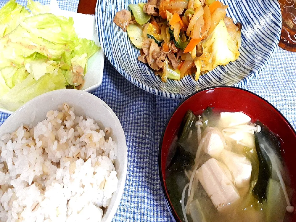 5種野菜と豚肉のスパイシーカレー炒め|ぽぱいさん