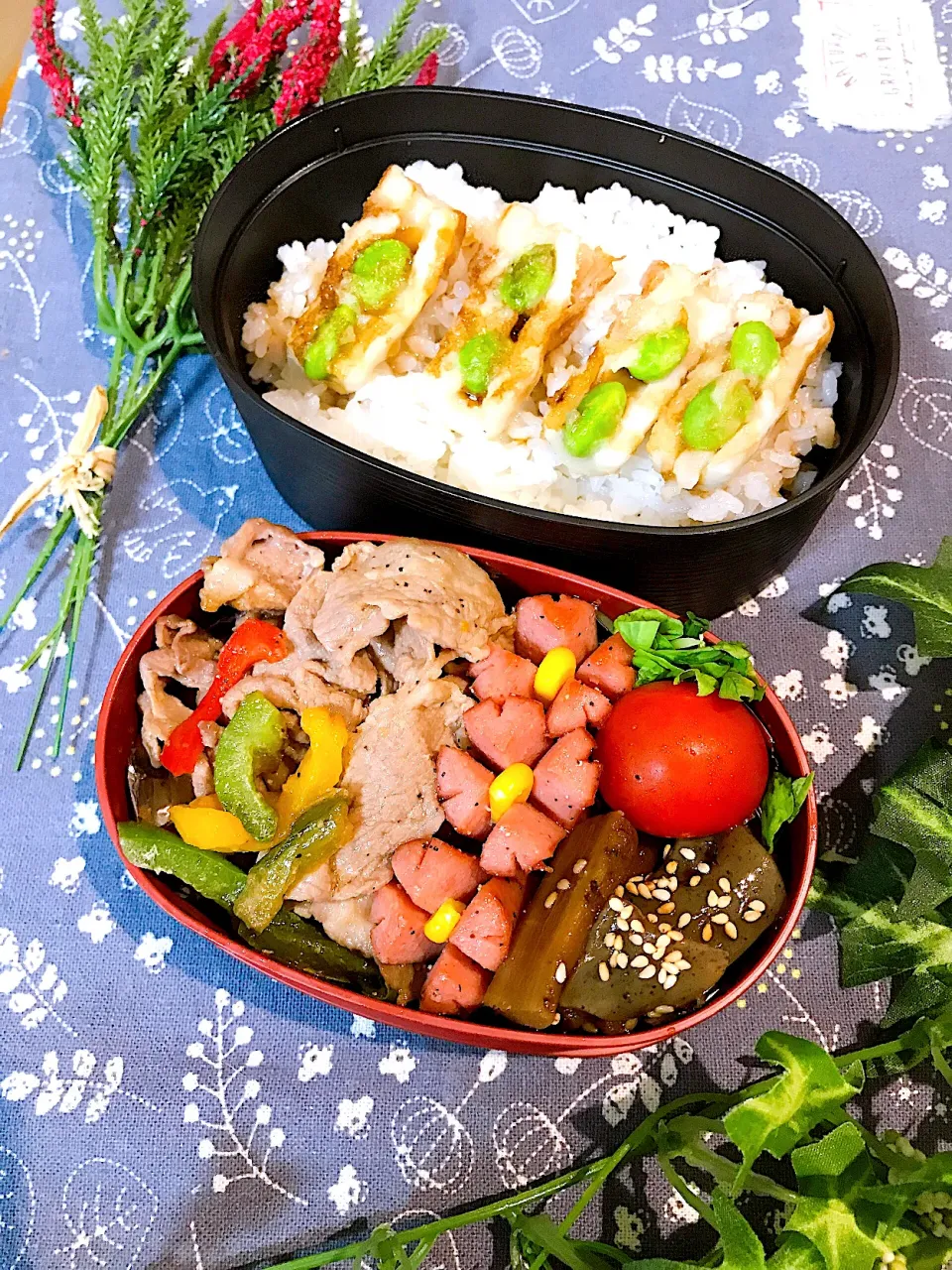 今日のお弁当                                       ♪☺︎♪☺︎♪☺︎|🌼はなちゃん🌼さん