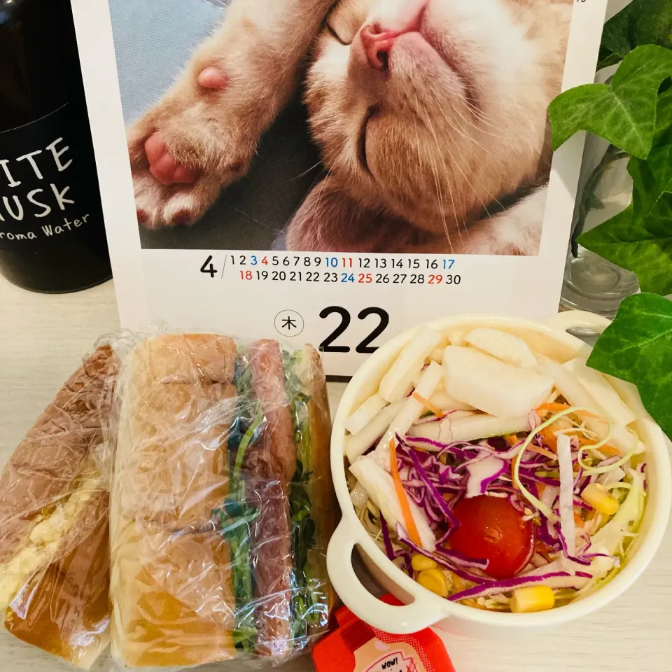 Snapdishの料理写真:20210421🍱今日の自分弁当🍱|akiyo22さん