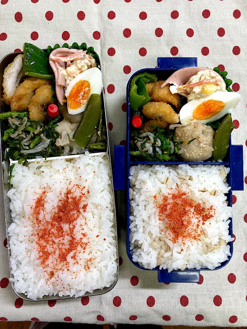 Snapdishの料理写真:4月22日　初夏の暑さ到来弁当🍱|sakuramochiさん