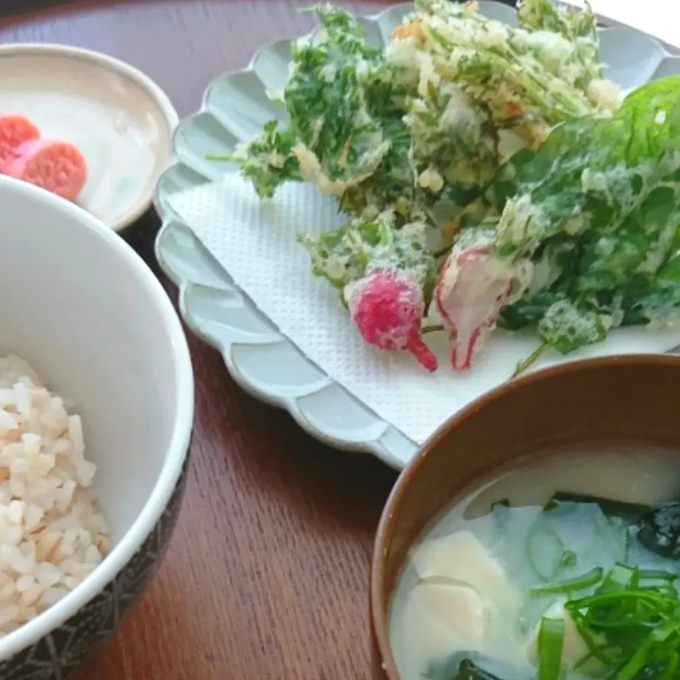 庭採れ野菜の天ぷら(フリット)で
朝ごはん|とだともさん