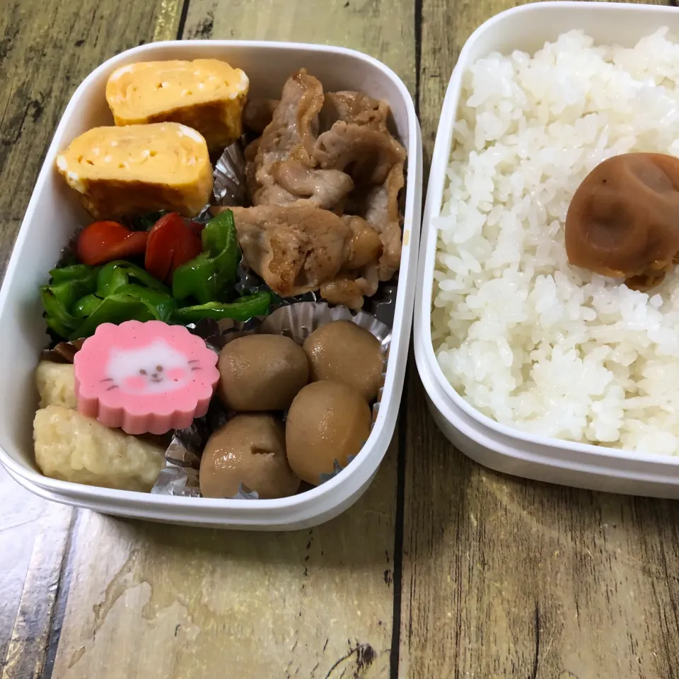 3.4.19お弁当|みぃたんさん