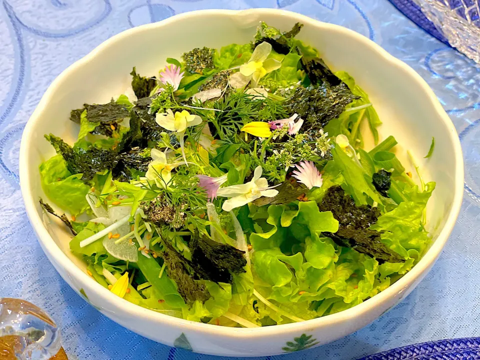 お友達から頂いたエディブルフラワーを散らしたチョレギサラダ🥗　パクチーのお花が1番良かった😆|Seikoさん