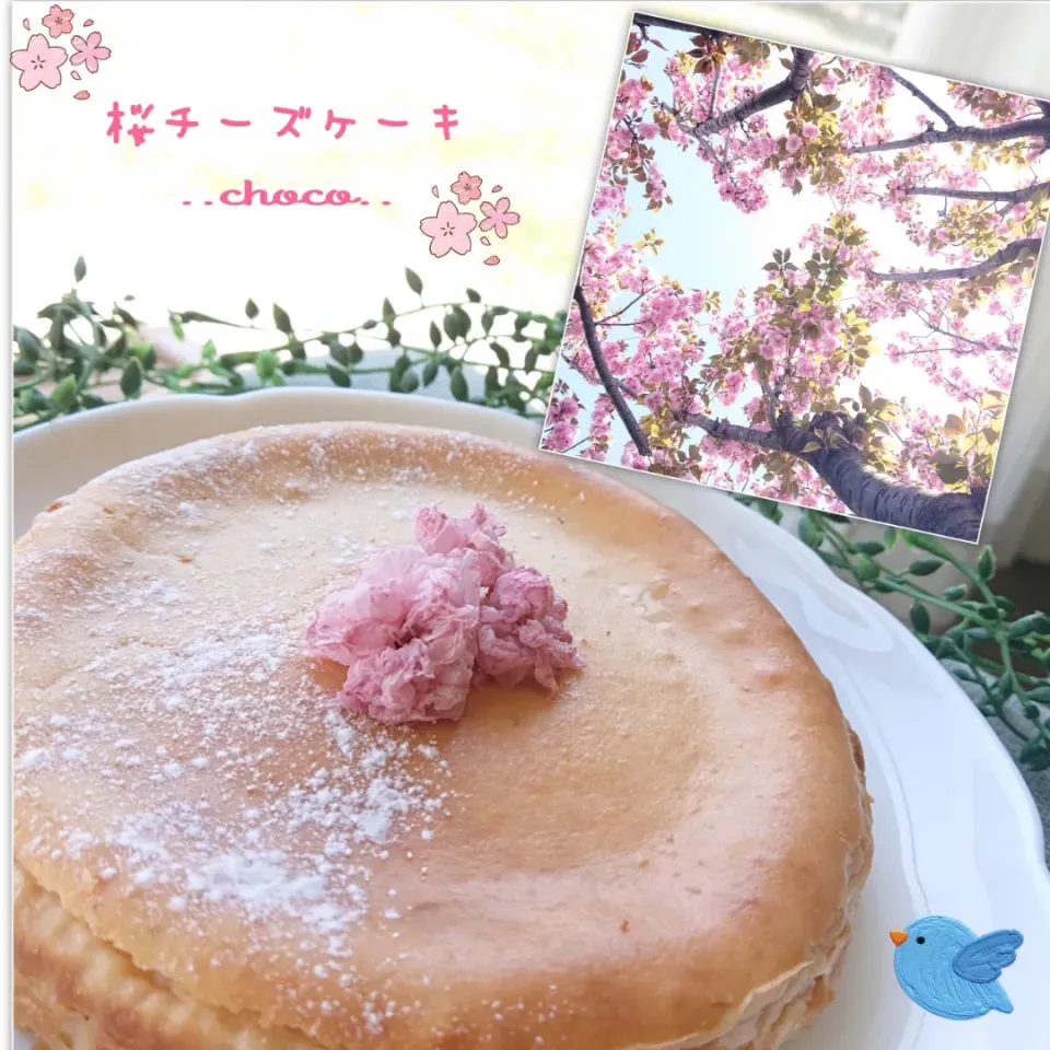 シリーズ第2弾‼️
桜餡入りチーズケーキ🌸|ちょこさん