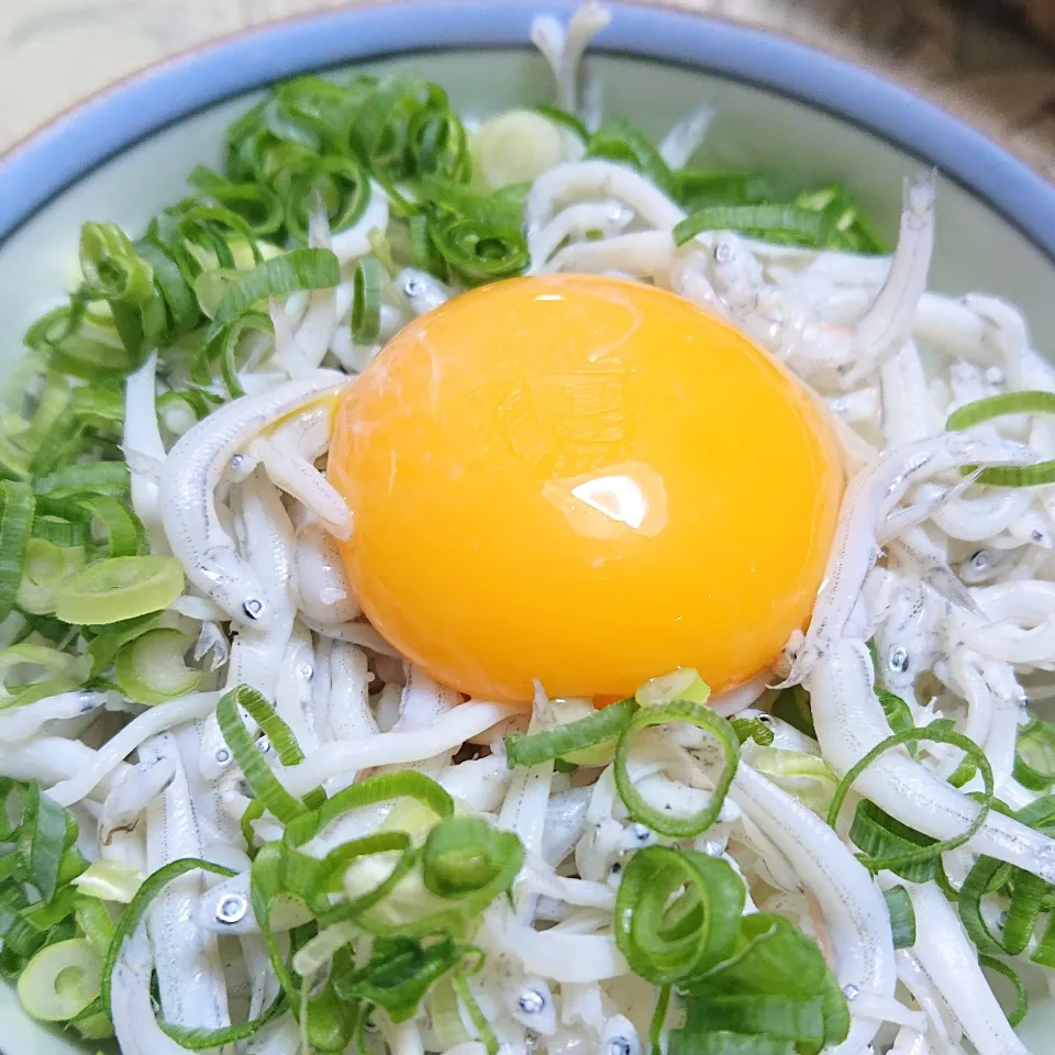 しらす丼|そらたまさん