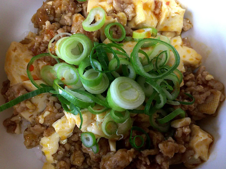 四川麻婆豆腐丼(ハーフ)|ばーさんさん