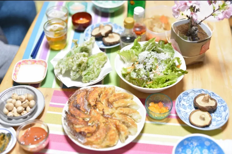 餃子でお花見🌸✨🥟|さわ太郎さん