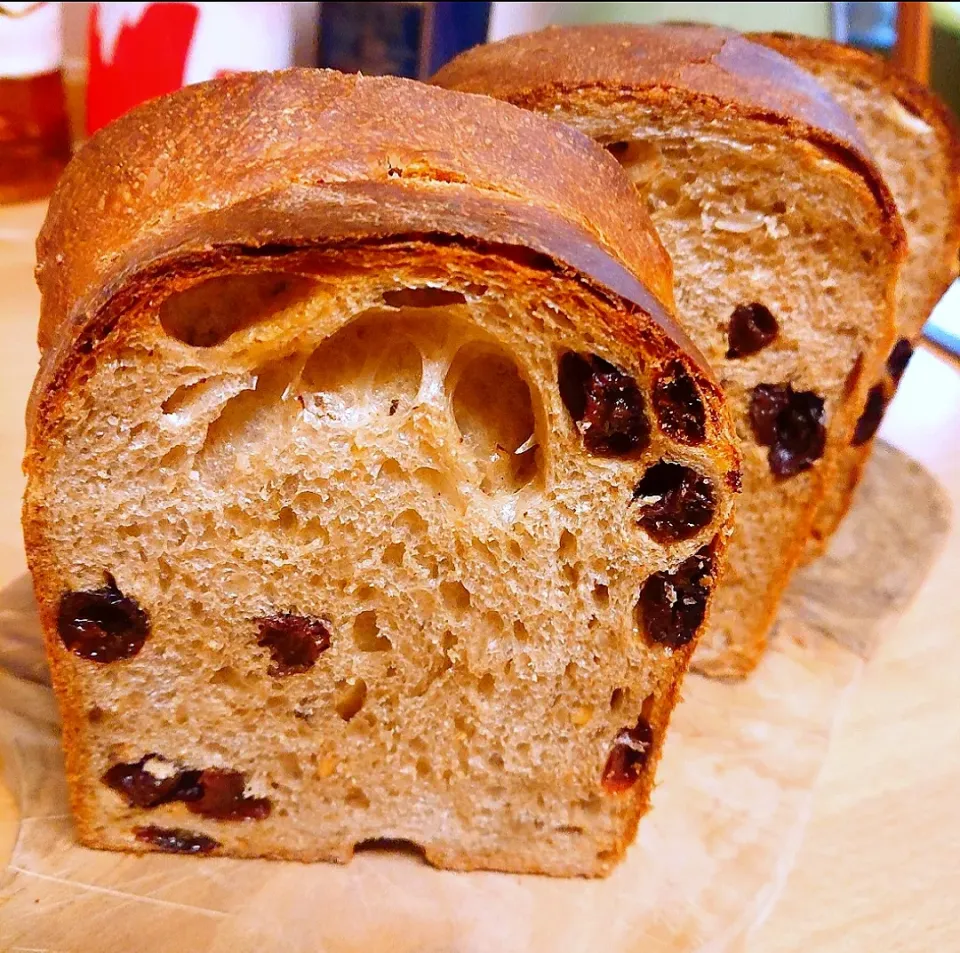 葡萄食パン 丹沢酵母でマルチグレインを配合しました。葡萄が片寄ったぁ🤭|Alfinさん
