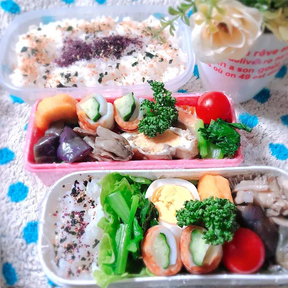 2021.4.27✧本日のお弁当🥢記録|ぁゃ🍃さん