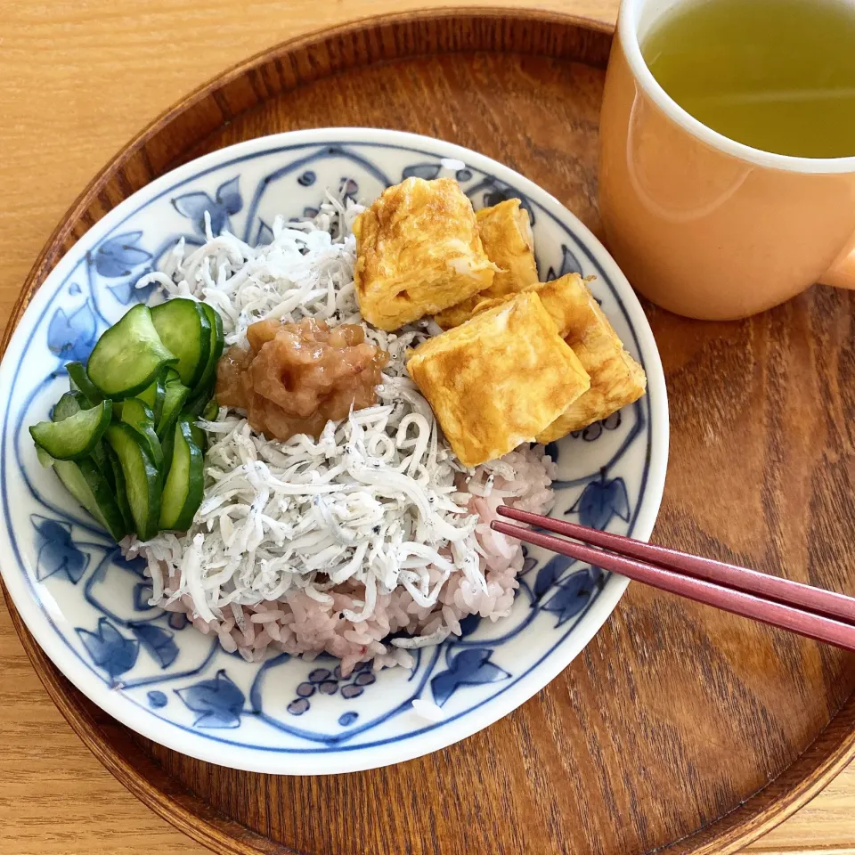 しらす梅丼\⑉ᵒ̴̶̷᷄ ꒳ ᵒ̴̶̷᷅⑉/|サチャンさん