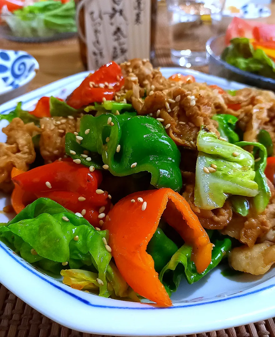 Snapdishの料理写真:カラフルピーマンと春キャベツのニンニク味噌炒め|ナオミさん