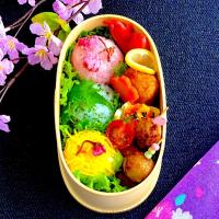 春爛漫🌸🍃手毬寿司弁当🍱
