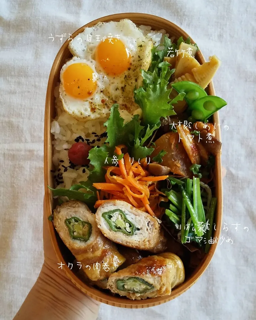 今日のお弁当🍱|こまめさん