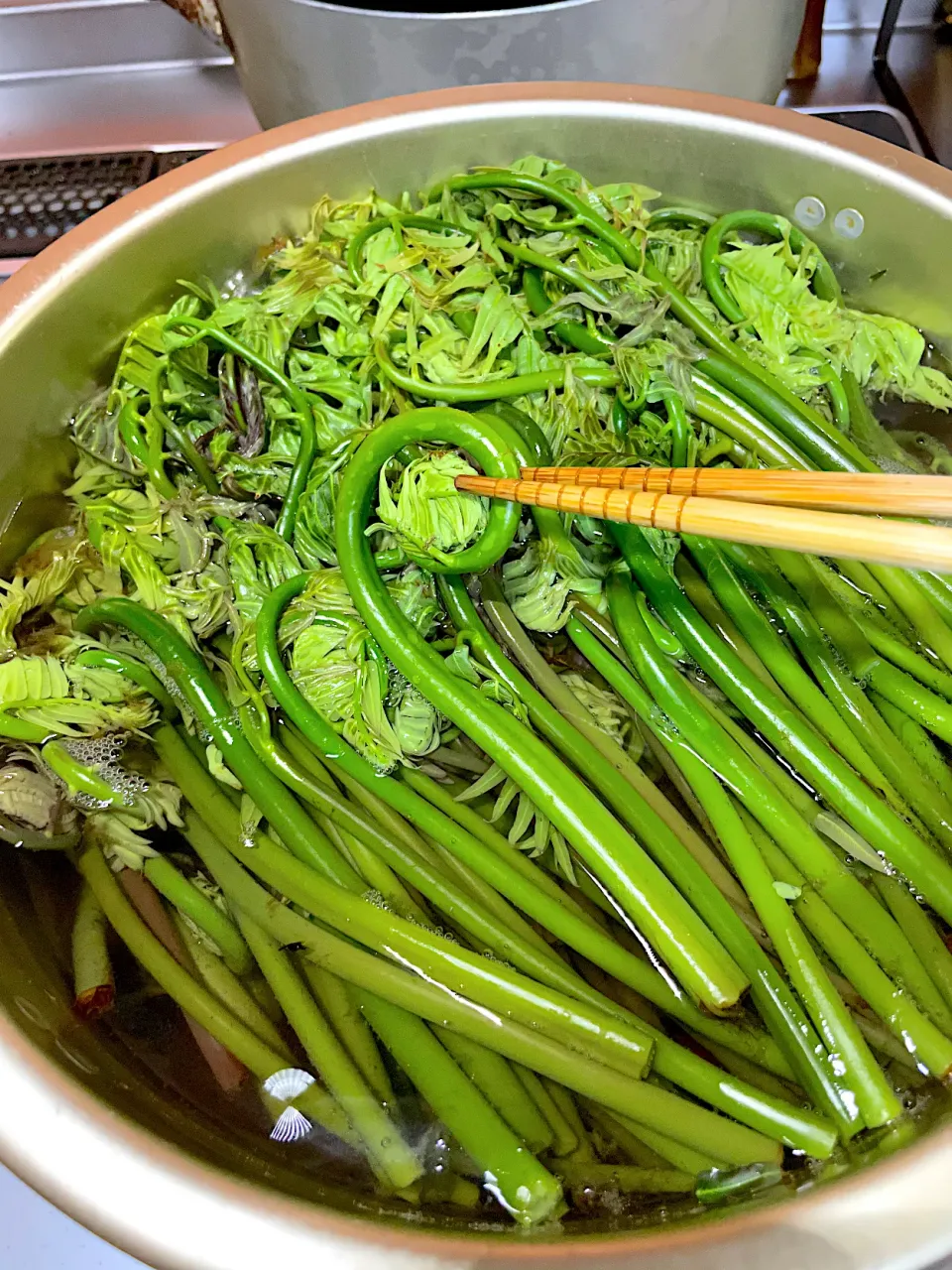 ぜんまいをたっぷりのお湯で茹でて干してこまめに揉んで乾燥していきます|misakoさん