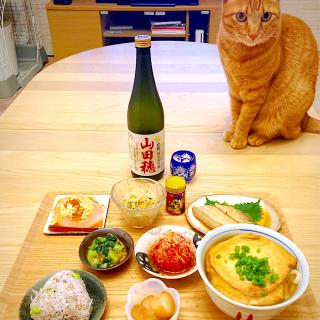 ナメタカレイのレシピと料理アイディア31件 Snapdish スナップディッシュ