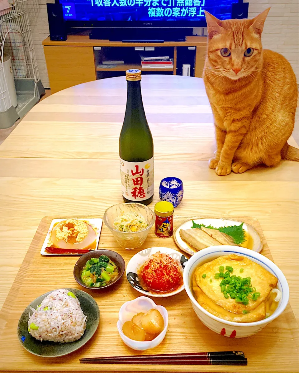 今日の夕食　きつねうどん　ナメタカレイの煮付け　トマトのお浸し　小松菜のなめ茸和え　ホタテのにんにく醤油漬け　春雨の中華サラダ　おにぎり　とろけるくずもち|ふわ猫はなちゃんさん