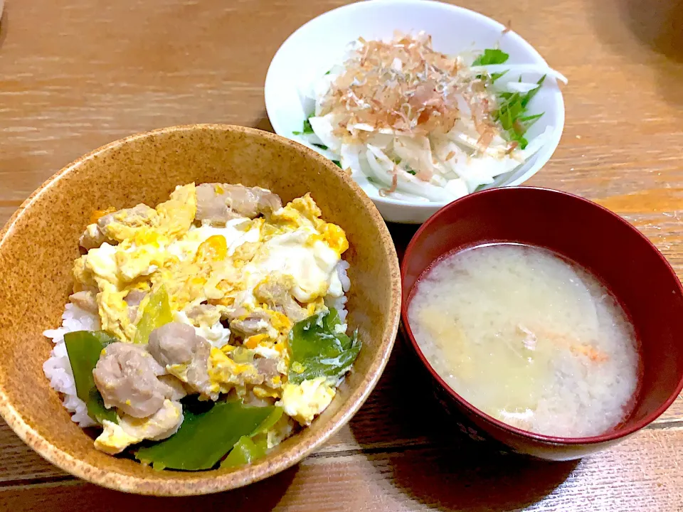 4月29日夕飯🍚|もぐぷーさん