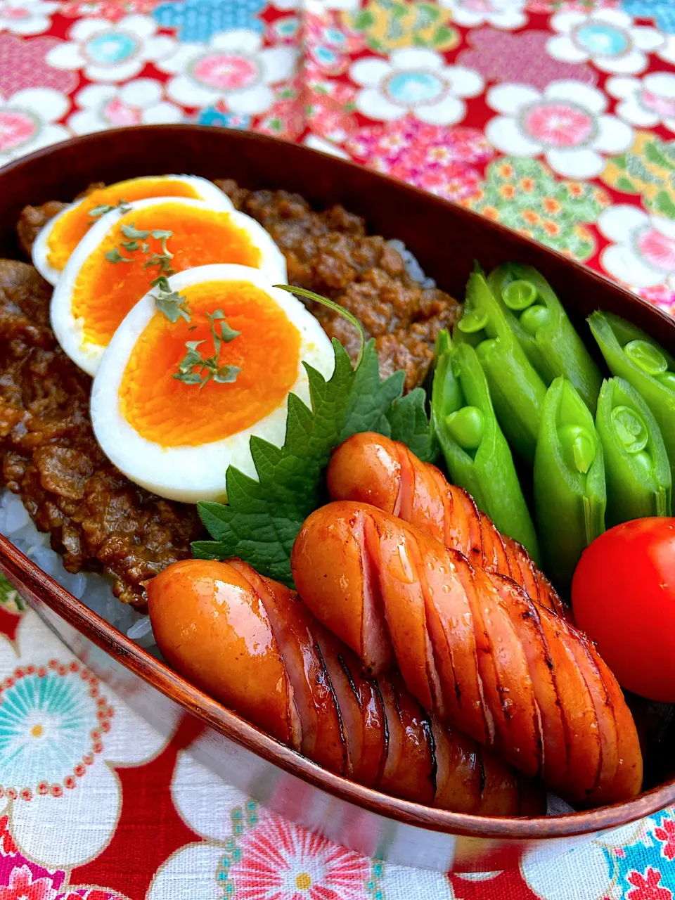 ドライカレー弁当|えこえこっちさん