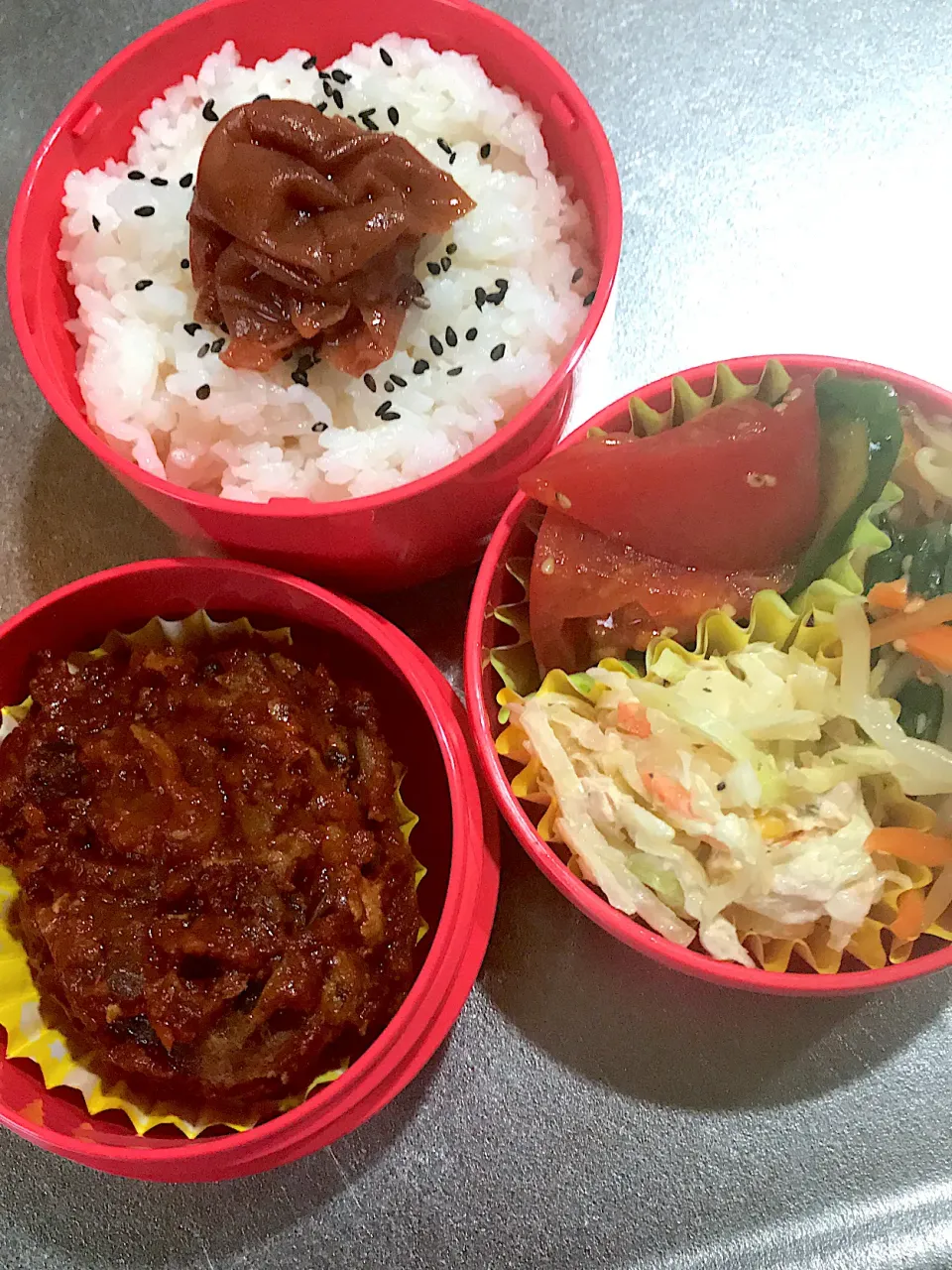 Snapdishの料理写真:煮込みハンバーグ弁当|ちーさん