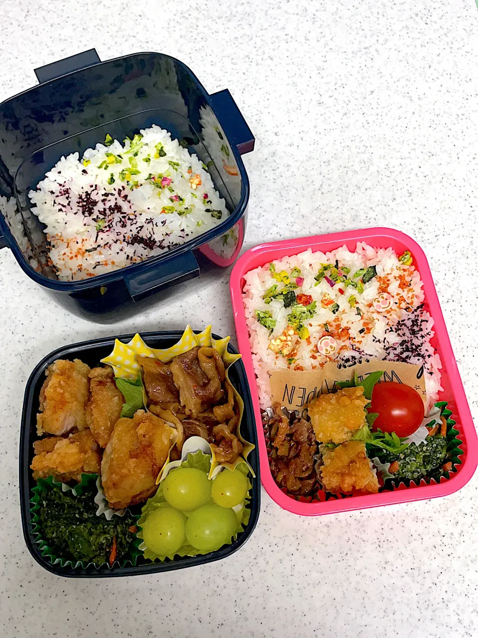 女子高生と男子高生のお弁当|料理嫌いなおかあさんさん