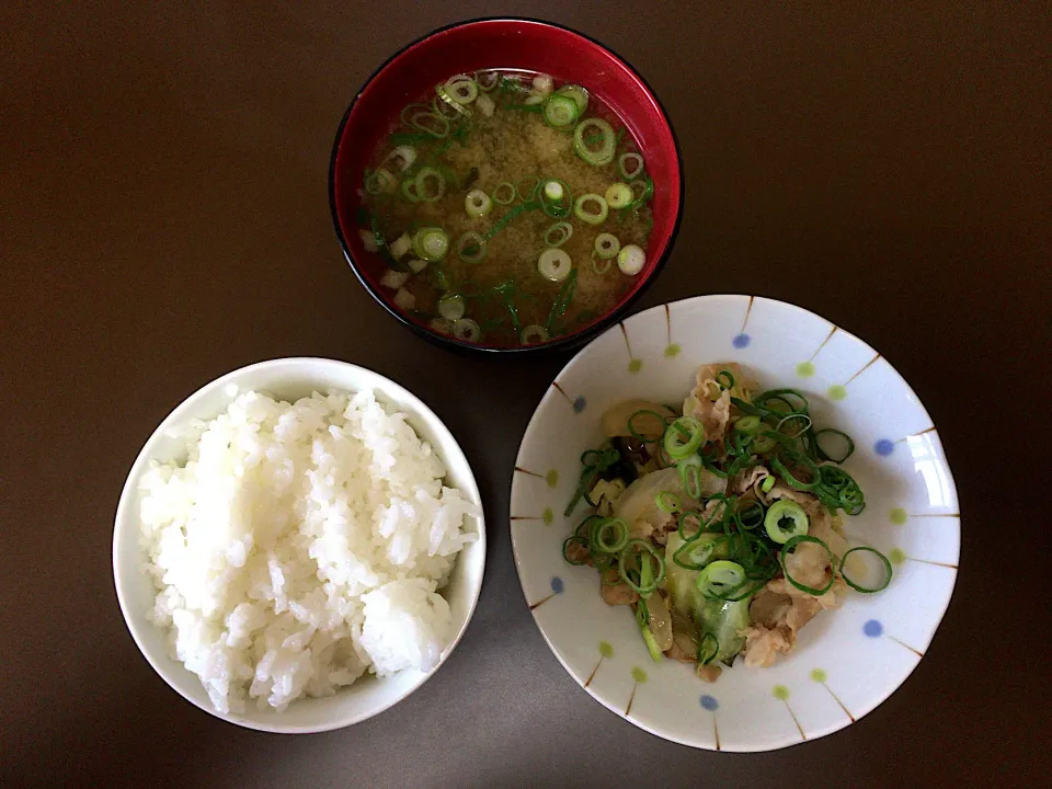 Snapdishの料理写真:豚肉野菜塩炒め(ハーフ)•味噌汁•ご飯|ばーさんさん