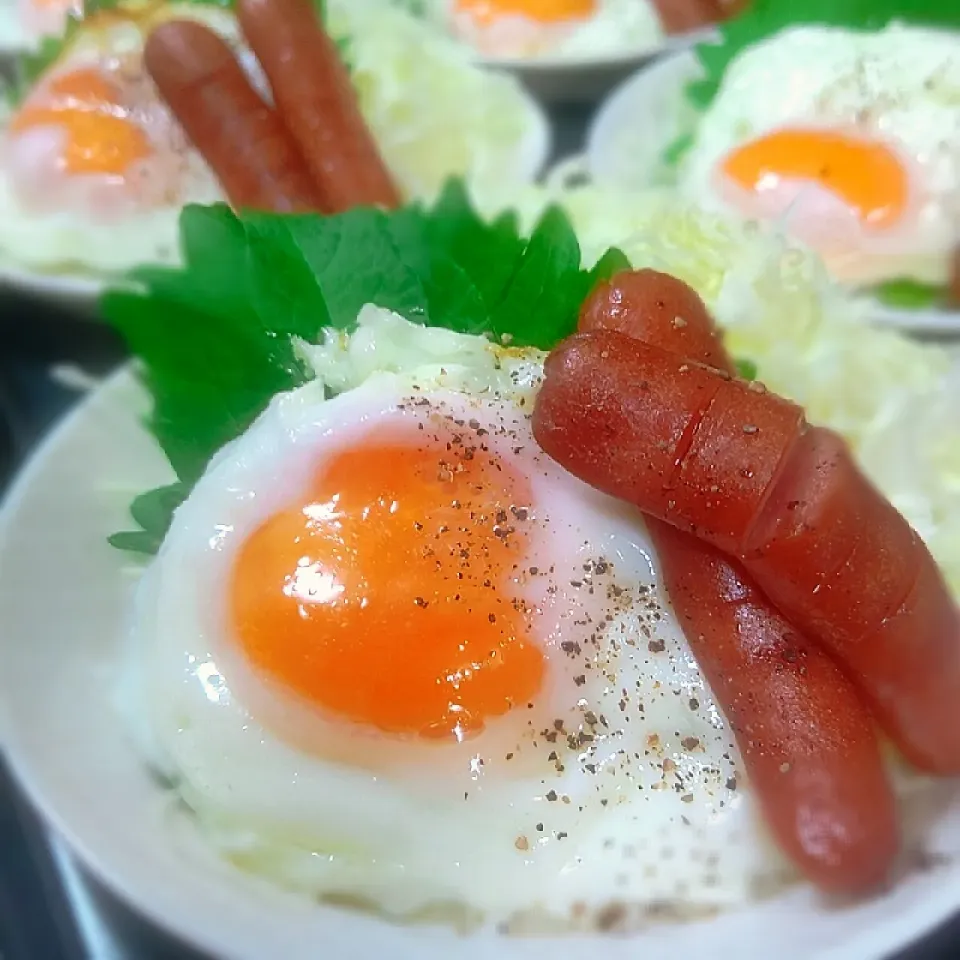 目玉ウィンナーキャベツ～♪♪|砂糖味屋キッチンさん