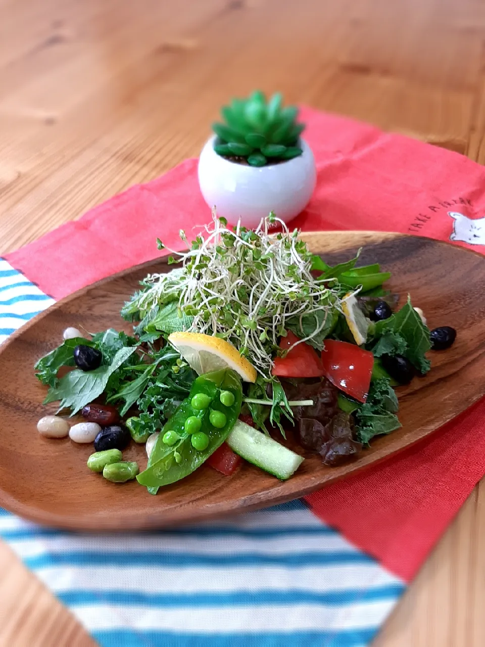 Snapdishの料理写真:10種の野菜とお豆のサラダ|マイさん