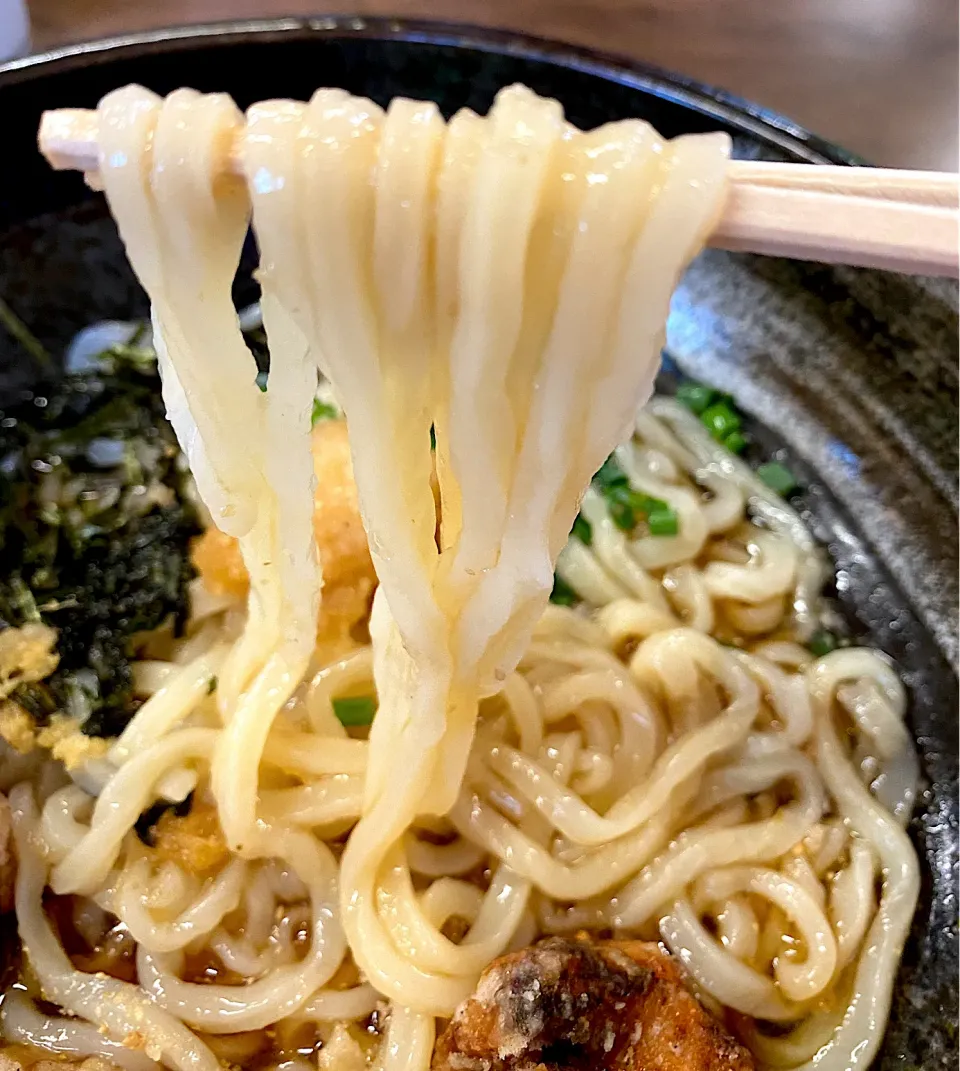 Snapdishの料理写真:豊前裏打会のうどん麺|Kouji  Kobayashiさん