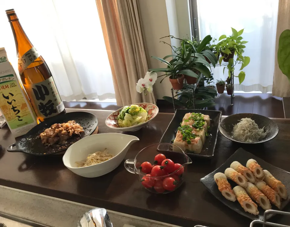 Snapdishの料理写真:家飲み晩ご飯|sanaeさん