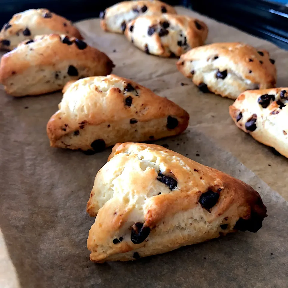 チョコチップスコーン 🍪🍪🍪|sato*さん