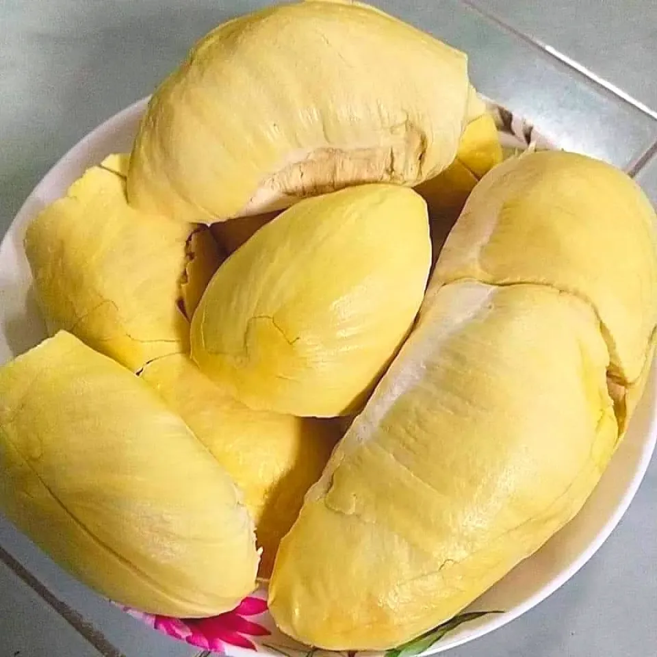 durian|โค้ชริญญ่าผู้ร่าเริงさん