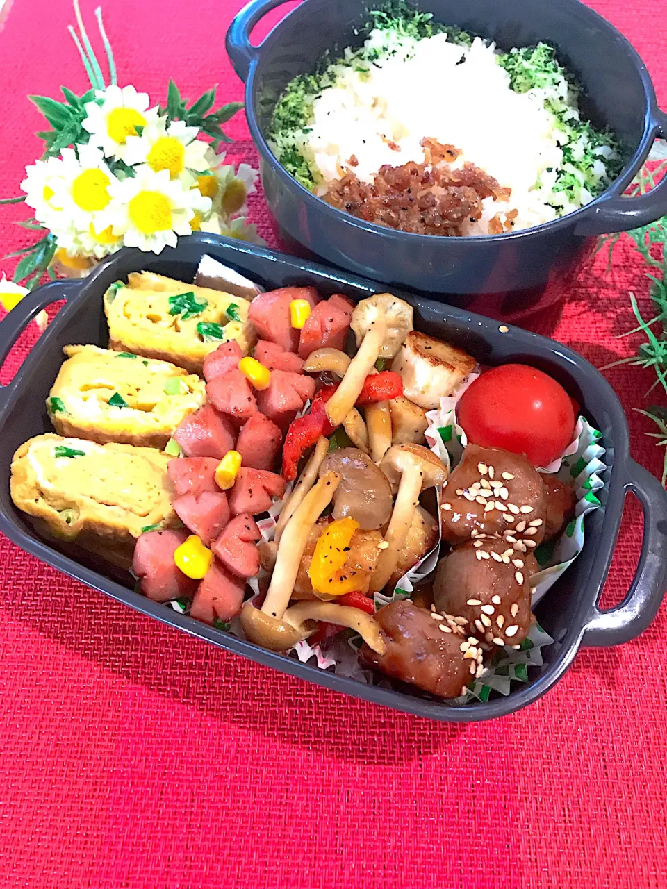 今日のお弁当                                       ♪☺︎♪☺︎♪☺︎|🌼はなちゃん🌼さん