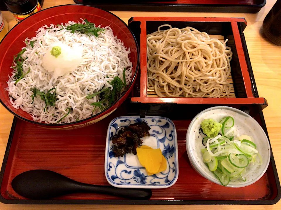 Snapdishの料理写真:湯河原にてしらす丼&お蕎麦|こぢえさん