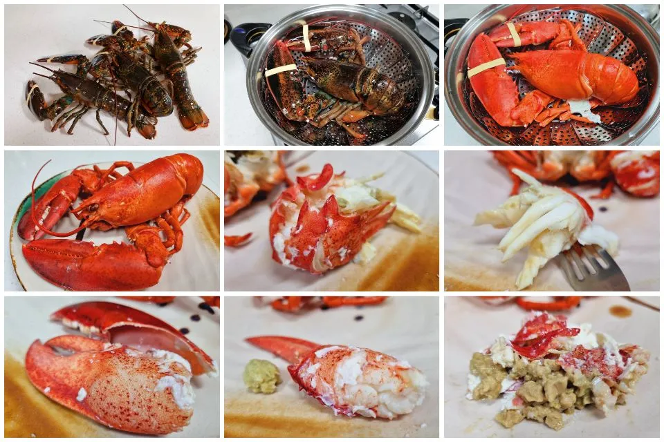 steamed lobster|steven z.y.さん